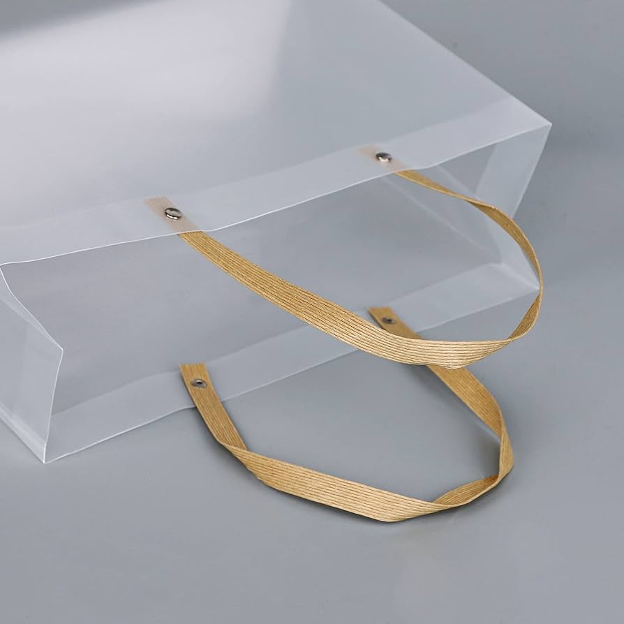 OPAQUE GIFT BAG WITH KRAFT HANDLE (PACK OF 10)