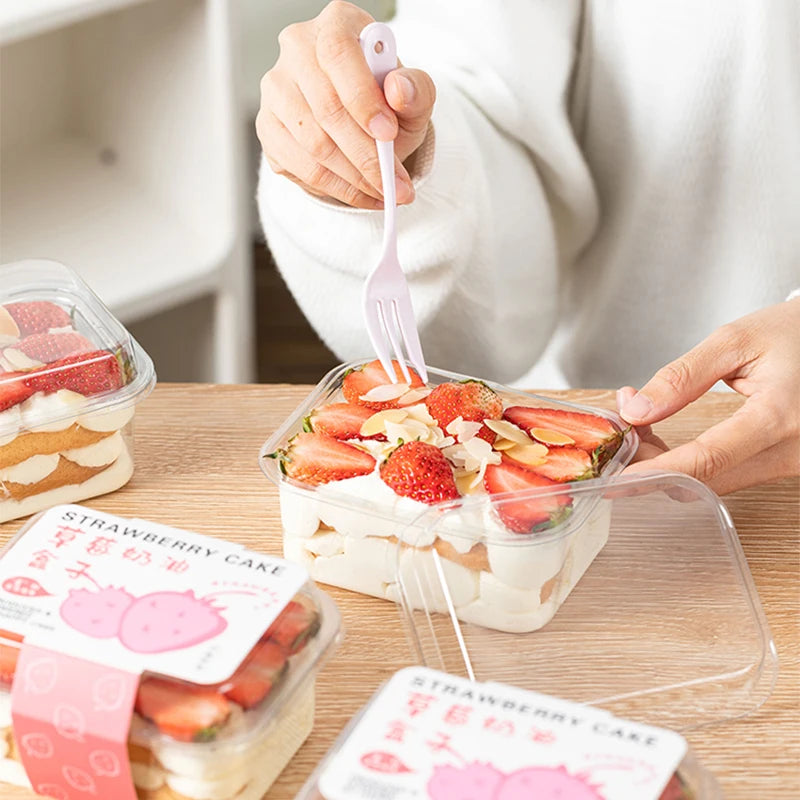 RECTANGLE PLASTIC DESSERT CONTAINER / TIRAMISU BOX