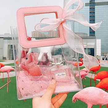 CLEAR GIFT BAG WITH HANDLE