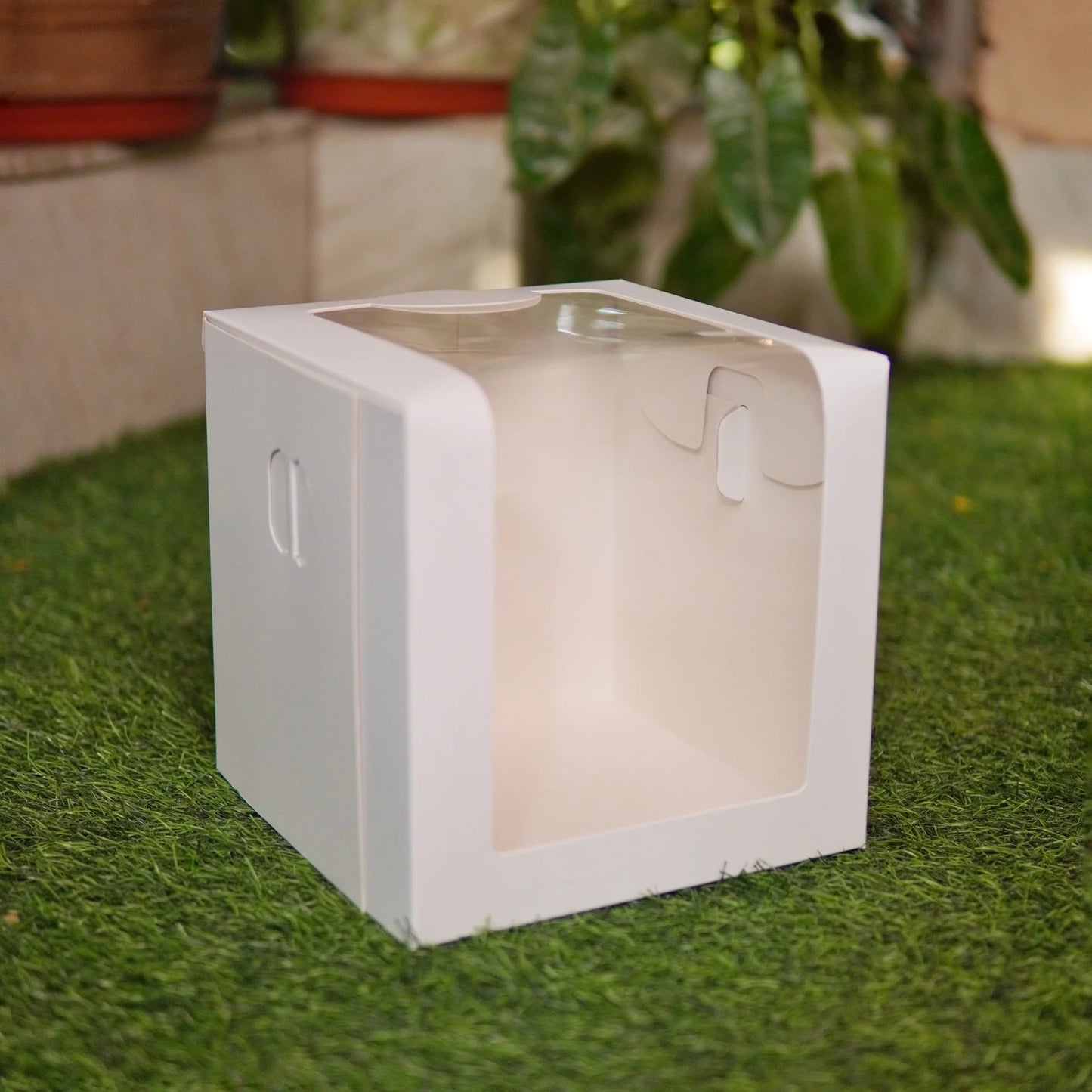 WHITE L WINDOW CAKE BOX | 10X10X8 INCHES 1KG CAKE BOX | TALL CAKE BOX