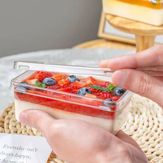RECTANGLE PLASTIC DESSERT CONTAINER / TIRAMISU BOX