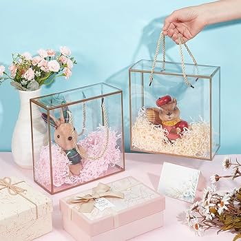 Big Golden Border Transparent Gift Bag with Rope Handle – 25x25x10 cms