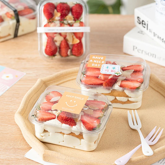 RECTANGLE PLASTIC DESSERT CONTAINER / TIRAMISU BOX