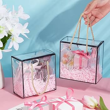 Medium Black Border Transparent Gift Bag with Rope Handle – 20x20x9 cms