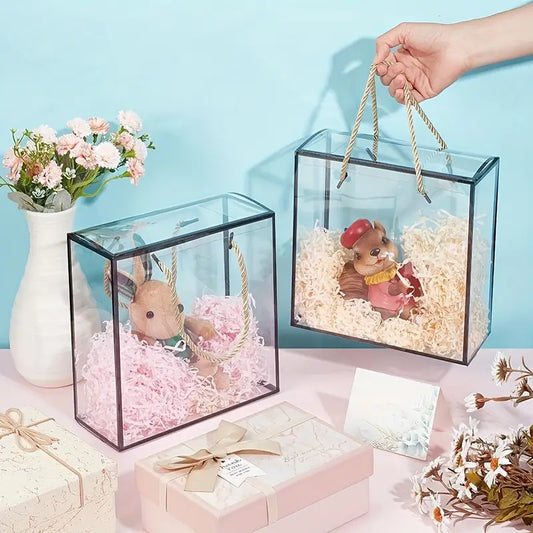 Big Black Border Transparent Gift Bag with Rope Handle – 25x25x10 cms