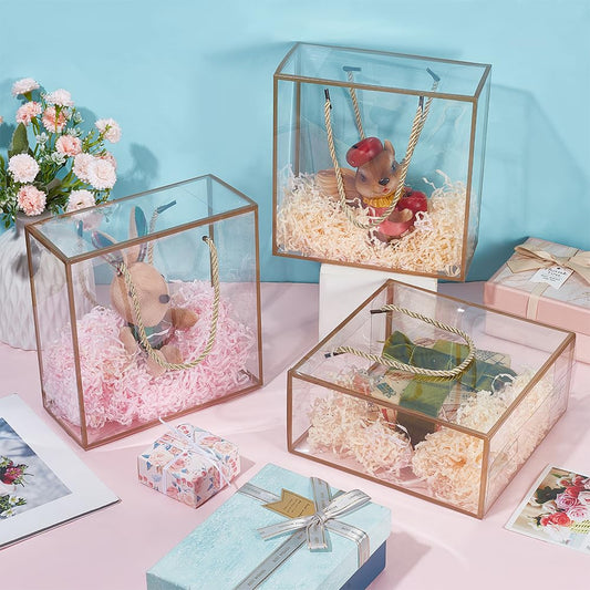 Medium Golden Border Transparent Gift Bag with Rope Handle – 20x20x9 cms