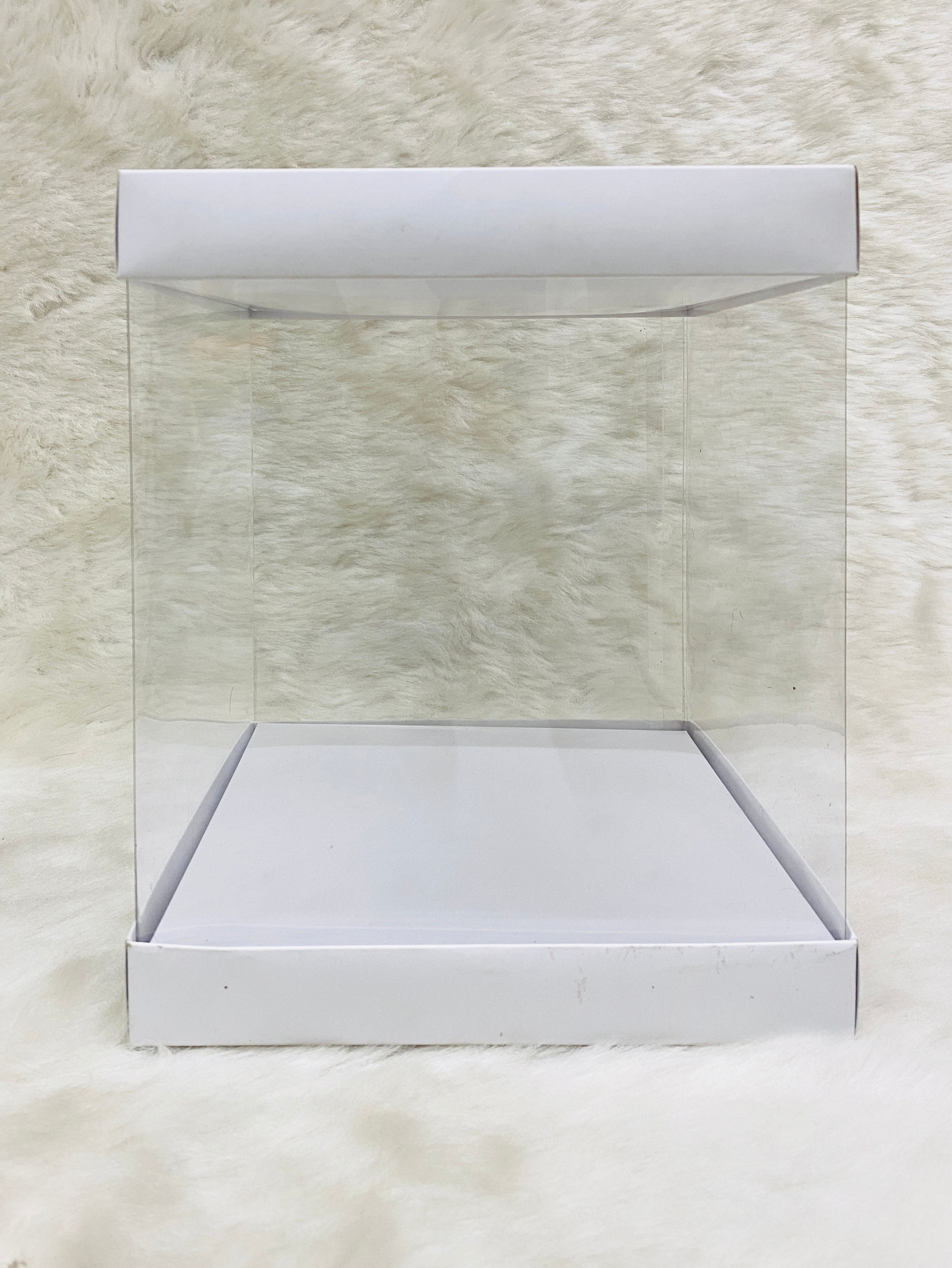 Pianta Box Pinata Boxes – Dispozable